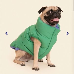 XL Dog Reversible Parka Vest - Green & Blue